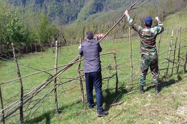 رفع تصرف بیش از ۸ هزار مترمربع از زمین‌های ملی فومن